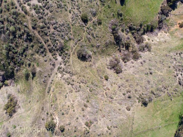 0 Oland Avenue, Sun Valley, CA 91352