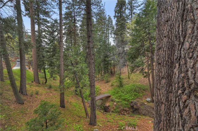 2358 Rim Of The World, Running Springs, CA 92382