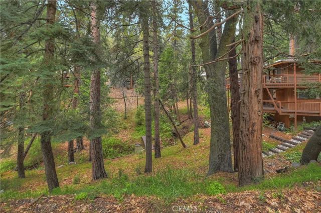 2358 Rim Of The World, Running Springs, CA 92382