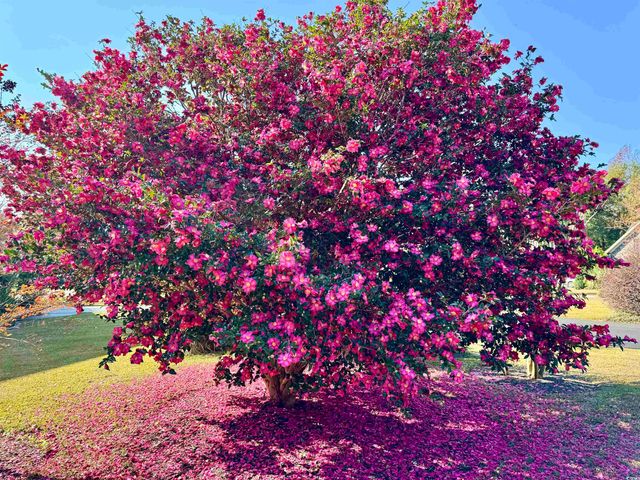 40 Governor Boone Ln., Georgetown, SC 29440