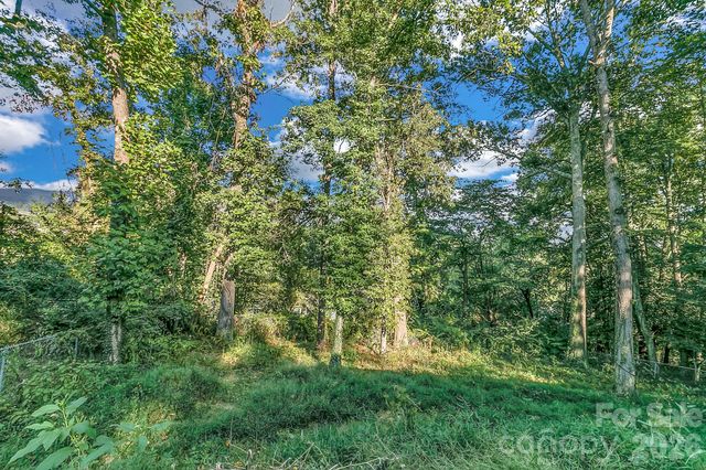 148 Stradley Mountain Road, Asheville, NC 28806