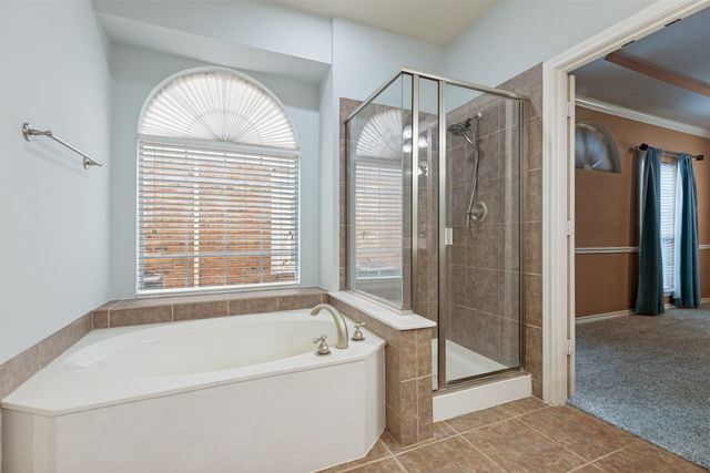 13244 Box Elder Lane, Frisco, TX 75035
