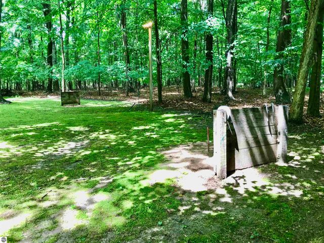 2233 Amber Lane # A, Mt Pleasant, MI 48858