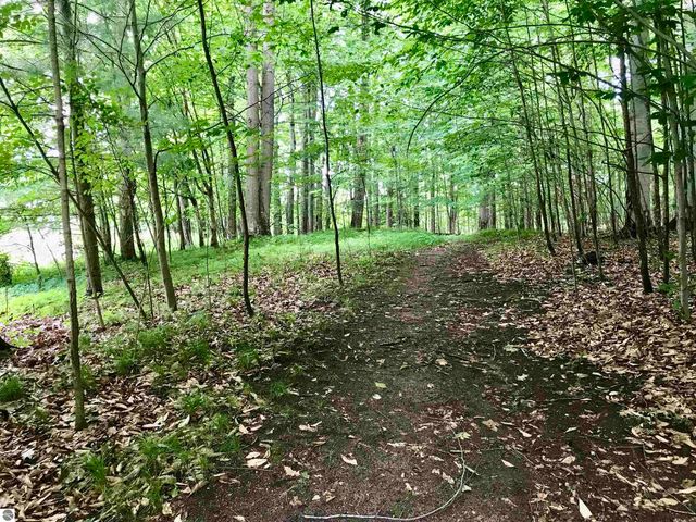 2233 Amber Lane # A, Mt Pleasant, MI 48858