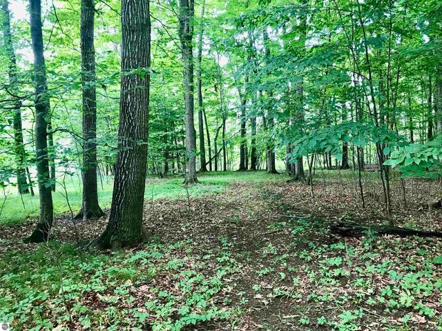 2233 Amber Lane # A, Mt Pleasant, MI 48858