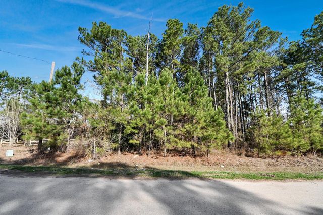 1307 County Road 3479j, Cleveland, TX 77327