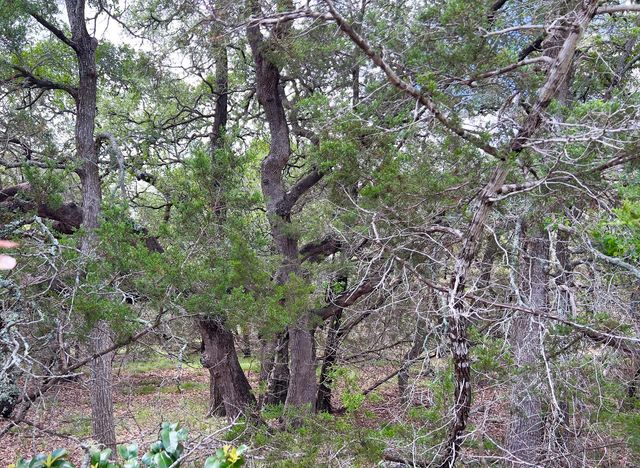 Lot 43-A Narrows RD 1, Blanco, TX 78606