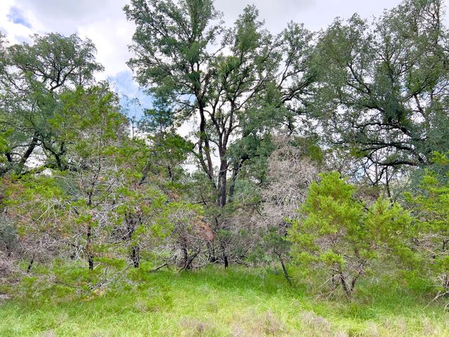 Lot 43-A Narrows RD 1, Blanco, TX 78606