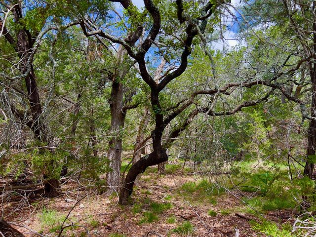 Lot 43-A Narrows RD 1, Blanco, TX 78606