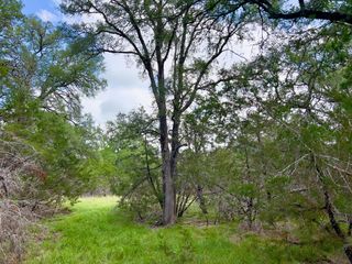 Lot 43-A Narrows RD 1, Blanco, TX 78606