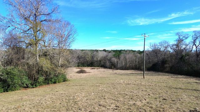 TBD FM 1272, Grapeland, TX 75844