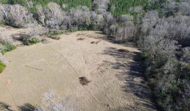 TBD FM 1272, Grapeland, TX 75844