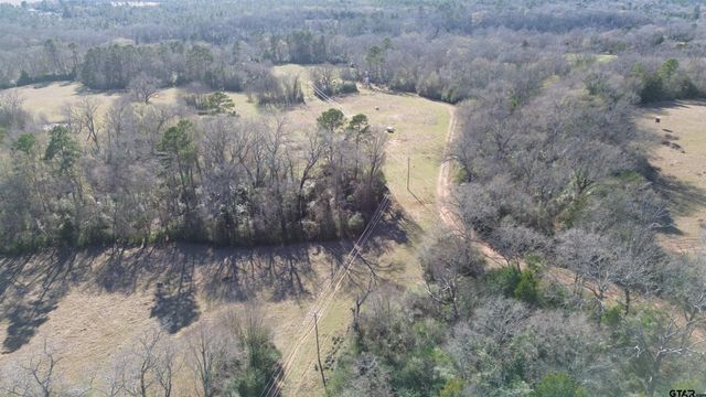 TBD FM 1272, Grapeland, TX 75844