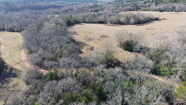 TBD FM 1272, Grapeland, TX 75844