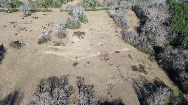 TBD FM 1272, Grapeland, TX 75844