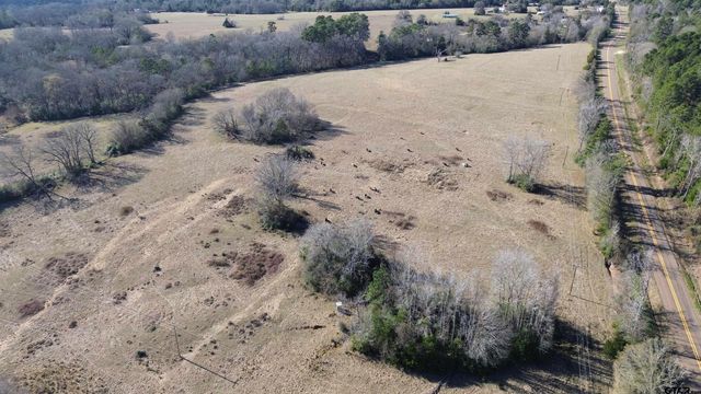 TBD FM 1272, Grapeland, TX 75844