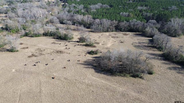 TBD FM 1272, Grapeland, TX 75844