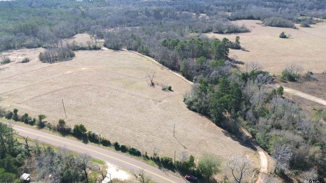 TBD FM 1272, Grapeland, TX 75844