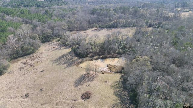 TBD FM 1272, Grapeland, TX 75844