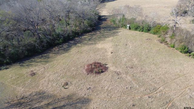 TBD FM 1272, Grapeland, TX 75844