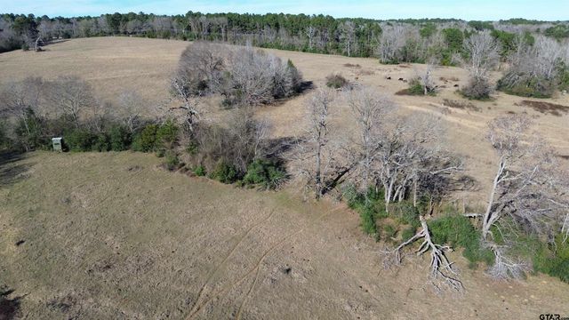 TBD FM 1272, Grapeland, TX 75844