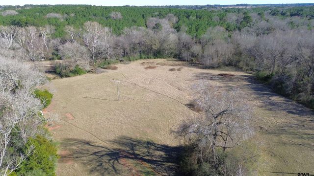TBD FM 1272, Grapeland, TX 75844