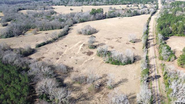 TBD FM 1272, Grapeland, TX 75844