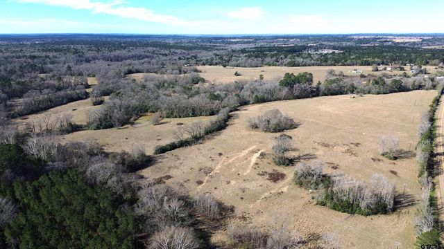 TBD FM 1272, Grapeland, TX 75844