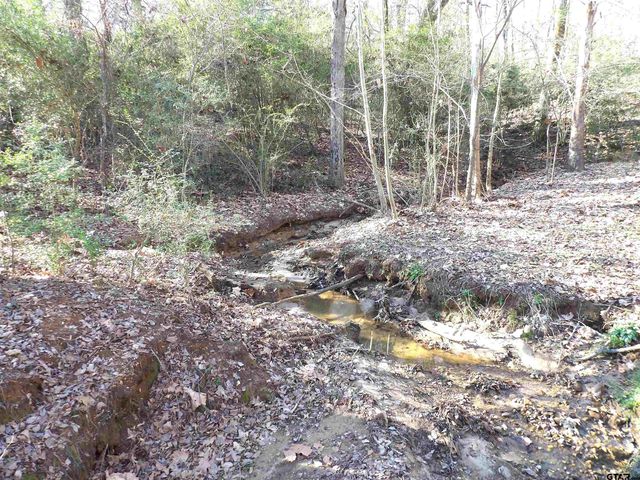 TBD FM 1272, Grapeland, TX 75844