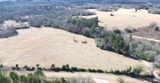 TBD FM 1272, Grapeland, TX 75844