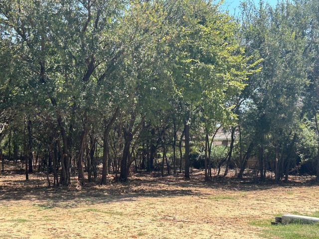 335 S Ash Avenue, Azle, TX 76020