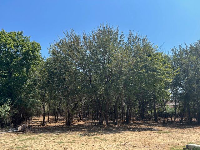 335 S Ash Avenue, Azle, TX 76020