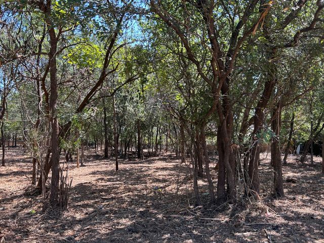 335 S Ash Avenue, Azle, TX 76020