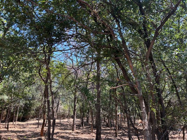 335 S Ash Avenue, Azle, TX 76020