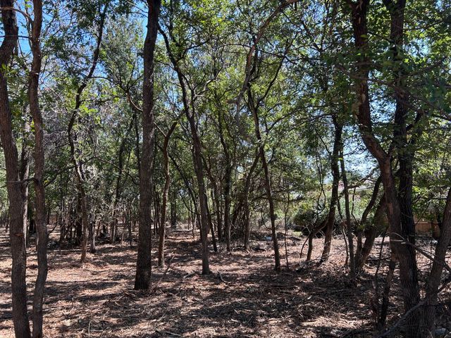 335 S Ash Avenue, Azle, TX 76020