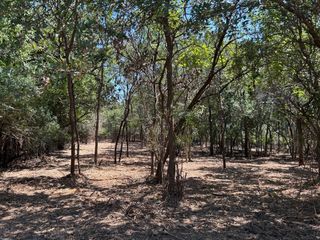 335 S Ash Avenue, Azle, TX 76020