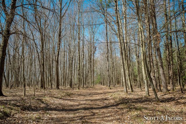 1125 Chaput Drive, Sears, MI 49679