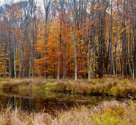 1125 Chaput Drive, Sears, MI 49679