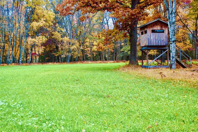 1125 Chaput Drive, Sears, MI 49679