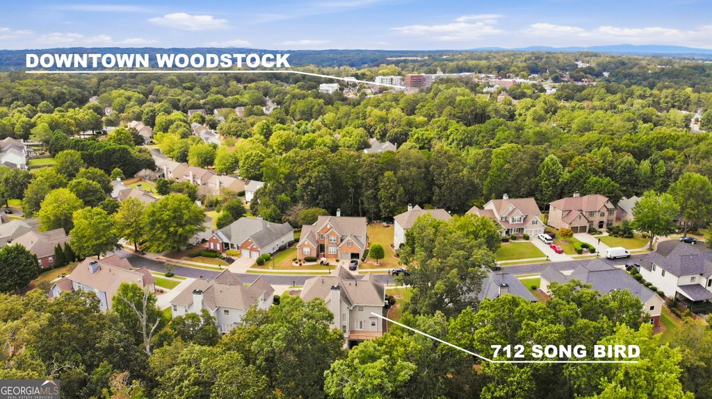 712 Song Bird Way, Woodstock, GA 30188 — photo 4