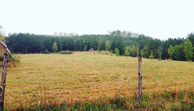 1596 Stewart Road, Graysville, TN 37338