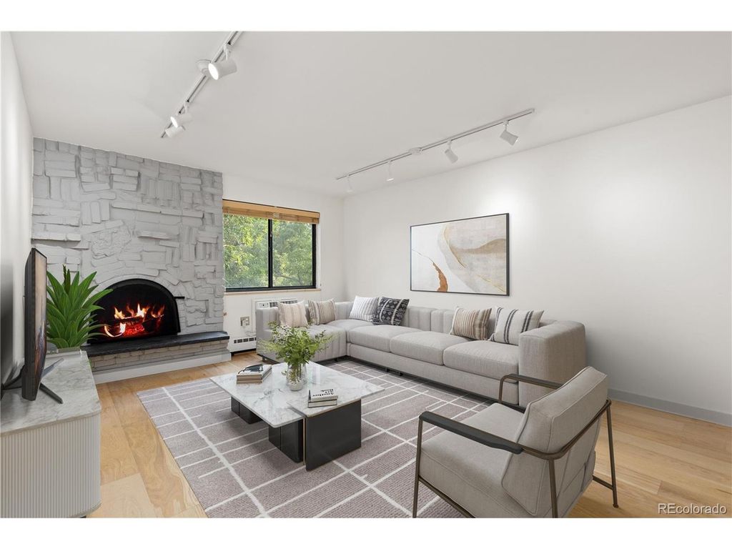 1008 N Corona St 303, Denver, CO 80218