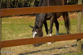 3760 OLD JENNINGS Road B, Middleburg, FL 32068