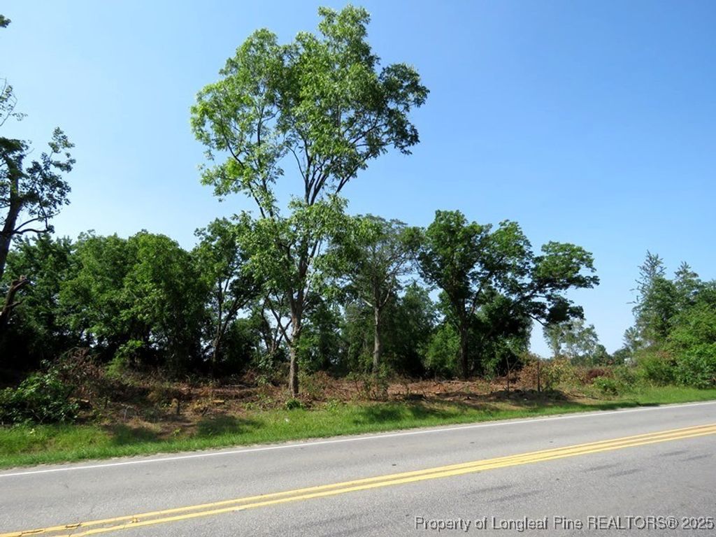 TBD NC Hwy 71 Highway, Red Springs, NC 28377 — photo 12