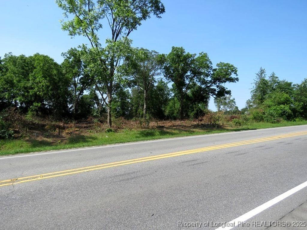 TBD NC Hwy 71 Highway, Red Springs, NC 28377 — photo 13