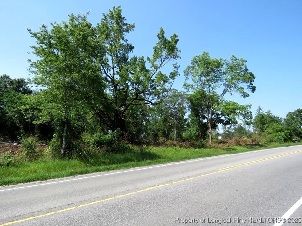 TBD NC Hwy 71 Highway, Red Springs, NC 28377 — photo 14