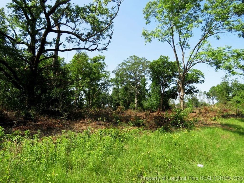 TBD NC Hwy 71 Highway, Red Springs, NC 28377 — photo 15