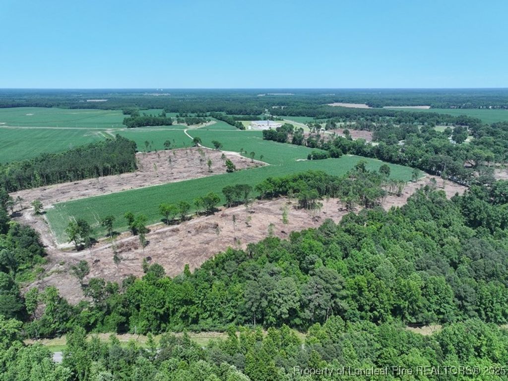 TBD NC Hwy 71 Highway, Red Springs, NC 28377 — photo 16