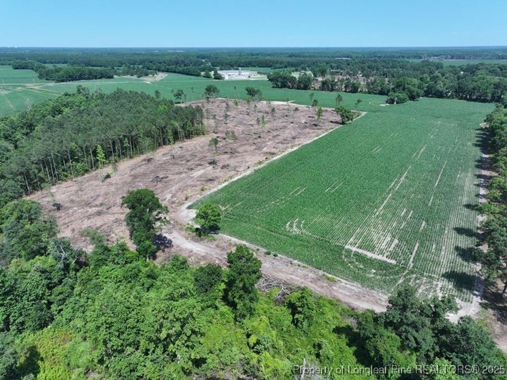 TBD NC Hwy 71 Highway, Red Springs, NC 28377 — photo 2