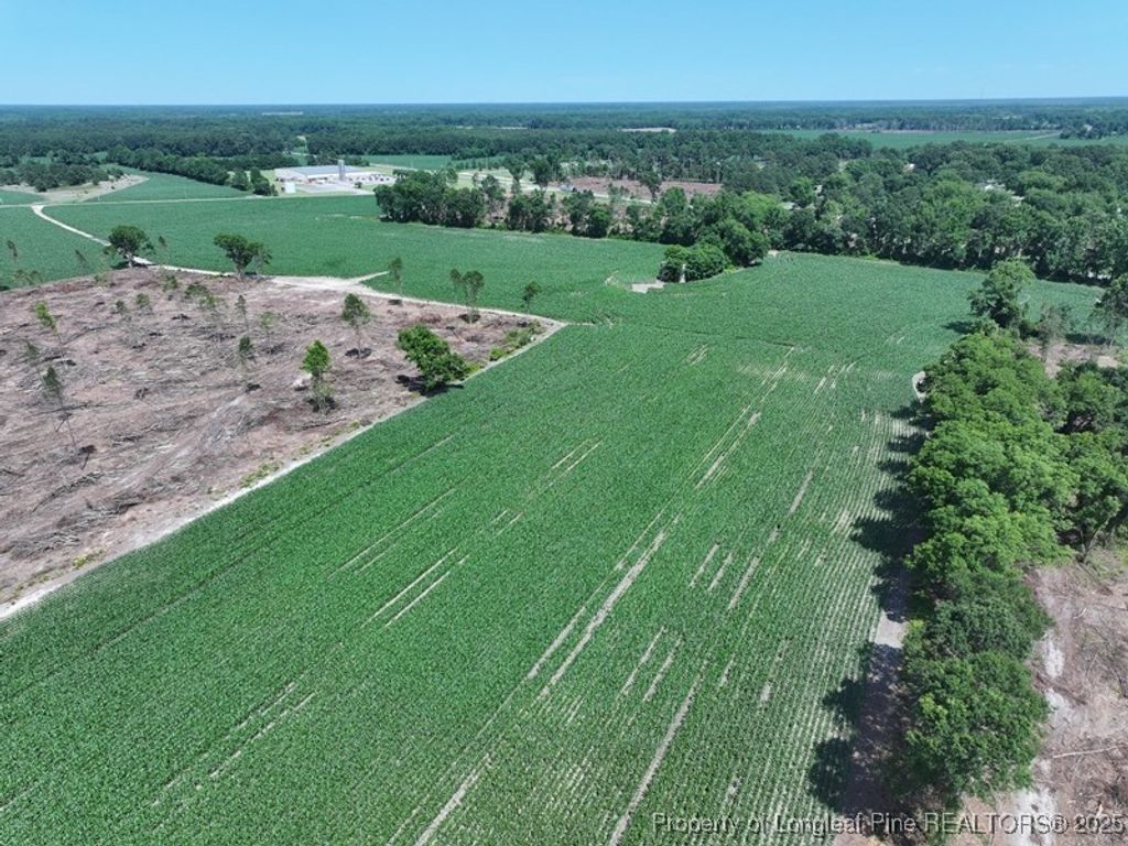 TBD NC Hwy 71 Highway, Red Springs, NC 28377 — photo 3